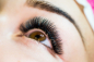 Preview: Wimpern_Bild2-1000